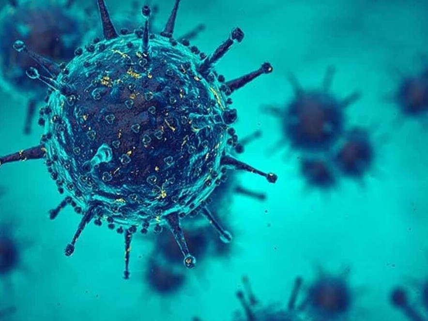 Коронавирус қайдан пайда болған?