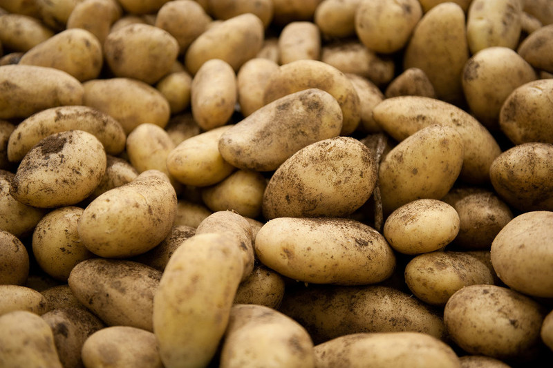 175 тонна өнім ел аумағына кіргізілмеді