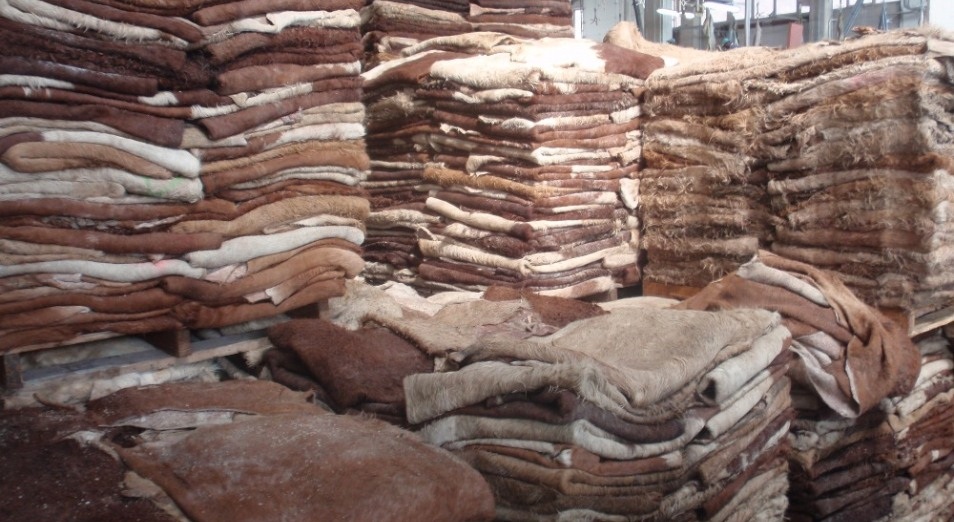 Тері өндірісі тұралап тұр