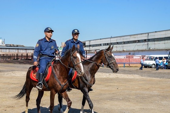 Алматыда карантин кезінде атты патруль қызметі күшейтілді