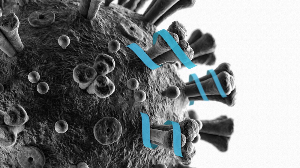 МІТ ғалымдары Covid-19 дәрісінің үлгісін әзірледі