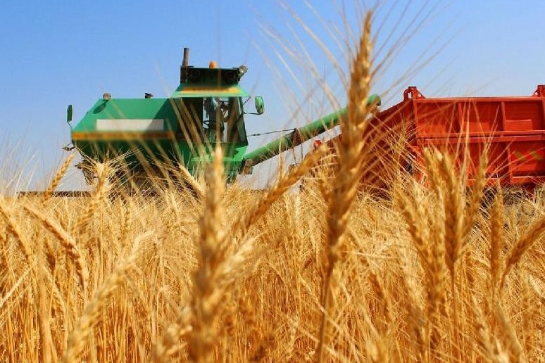 «ҚазАгро» еншілес ұйымдары қарыз алушыларға төлемдерін кейінге қалдыруды ұсынды