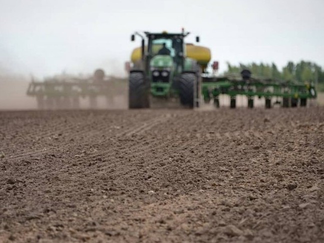Павлодар облысында дәнді дақылдар егу мамырдың 15-нен кейін басталады