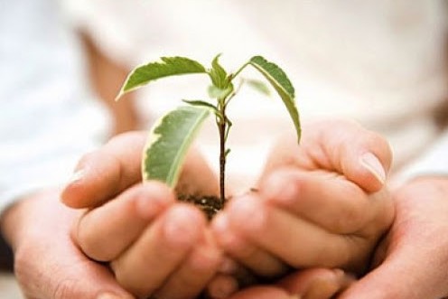 Ақмоладан Елордаға «Жылы жүрек» керуені аттанды