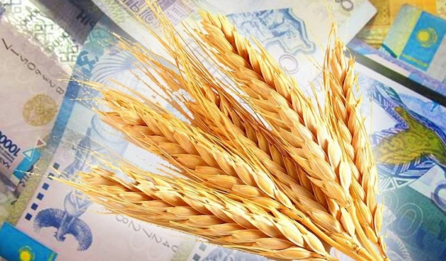 Ауыл шаруашылығын дамыту үшін жеңілдетілген несие беріледі