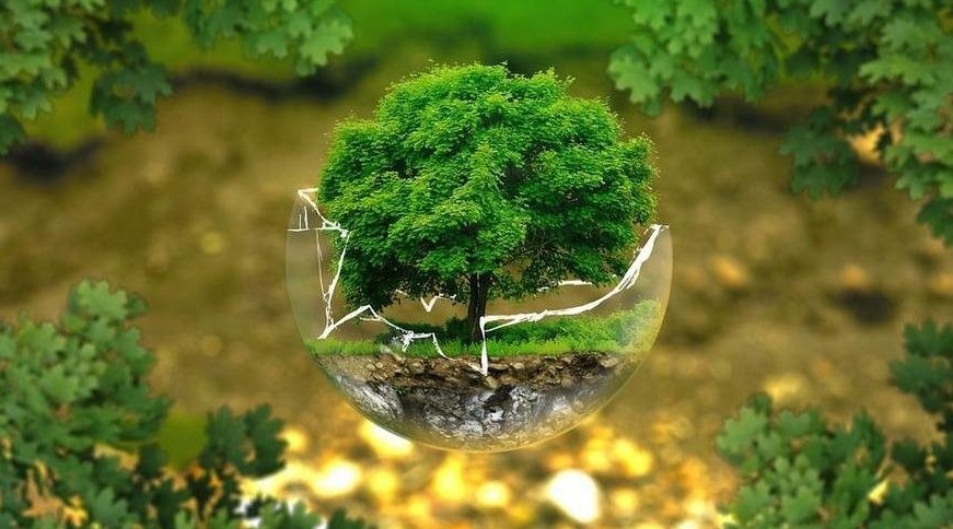 Экология министрлігі мектеп оқушылары арасында байқау жариялады