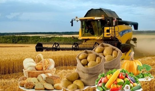 Агроөнеркәсіп кешеніне  173 млрд теңге бөлінеді