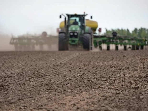 Жамбыл облысы: Қант қызылшасын өткізу мәселесі өзекті