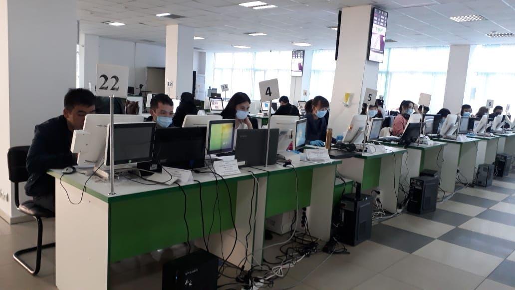 Алматыда онлайн-кеңесшілердің саны артты