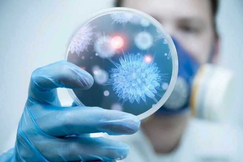 Инфекционист-профессор: Зертханалар қорытындысына күмәнмен қараймын