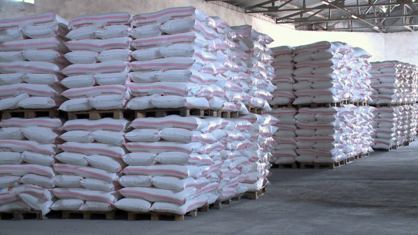 Түркістан: Ұн шығаратын кәсіпорын экспортты тоқтатты