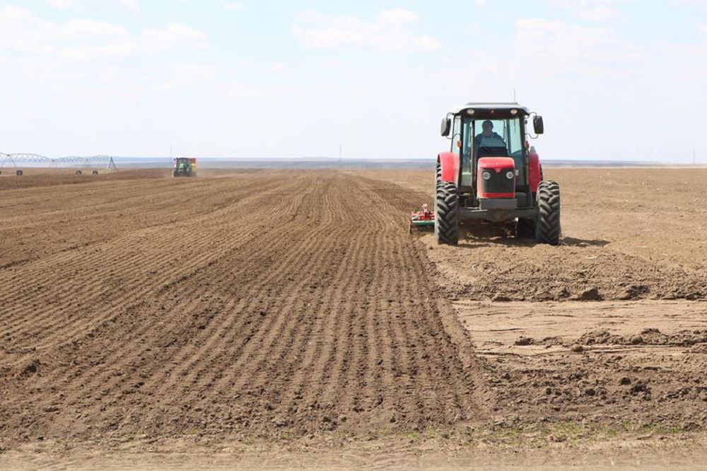 Сыр диқандары соя өсіруге ден қойды