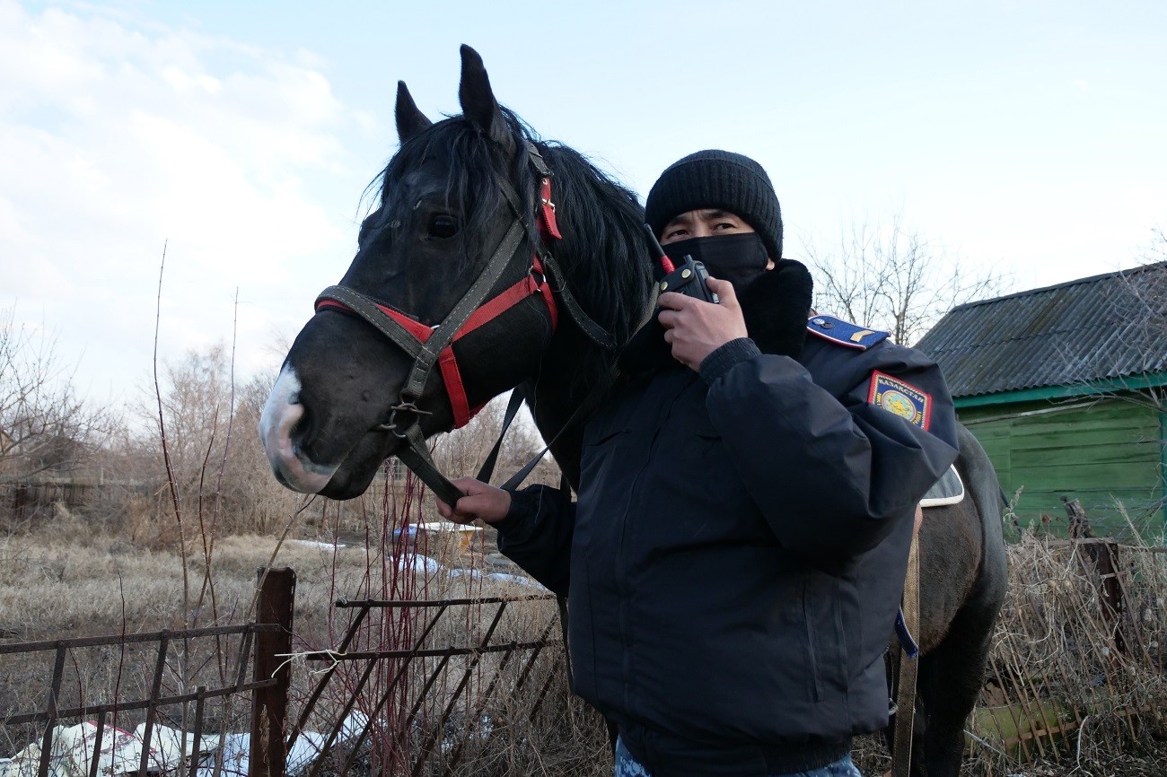 Петропавлда саяжайларды атты сақшылар күзетуде
