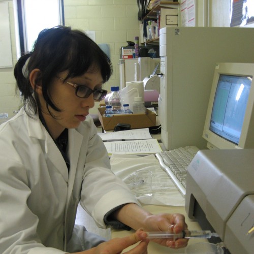 Күн энергетикасын қолданудағы ғылыми ізденістерге үлес қосады