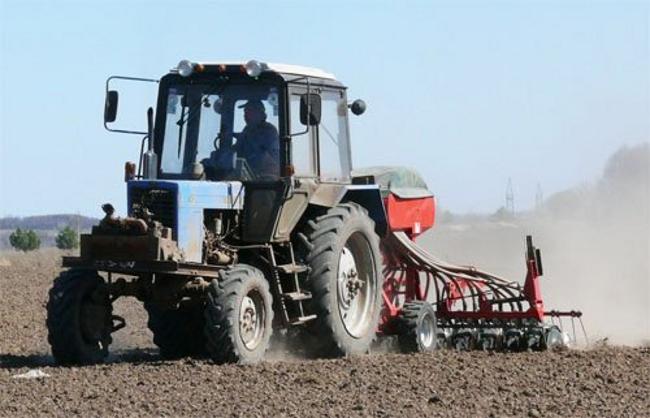 Қызылорда: Егіс жұмыстары кешеуілдемейді