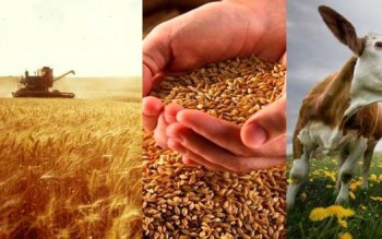 Карантин кем-кетікті көрсетті