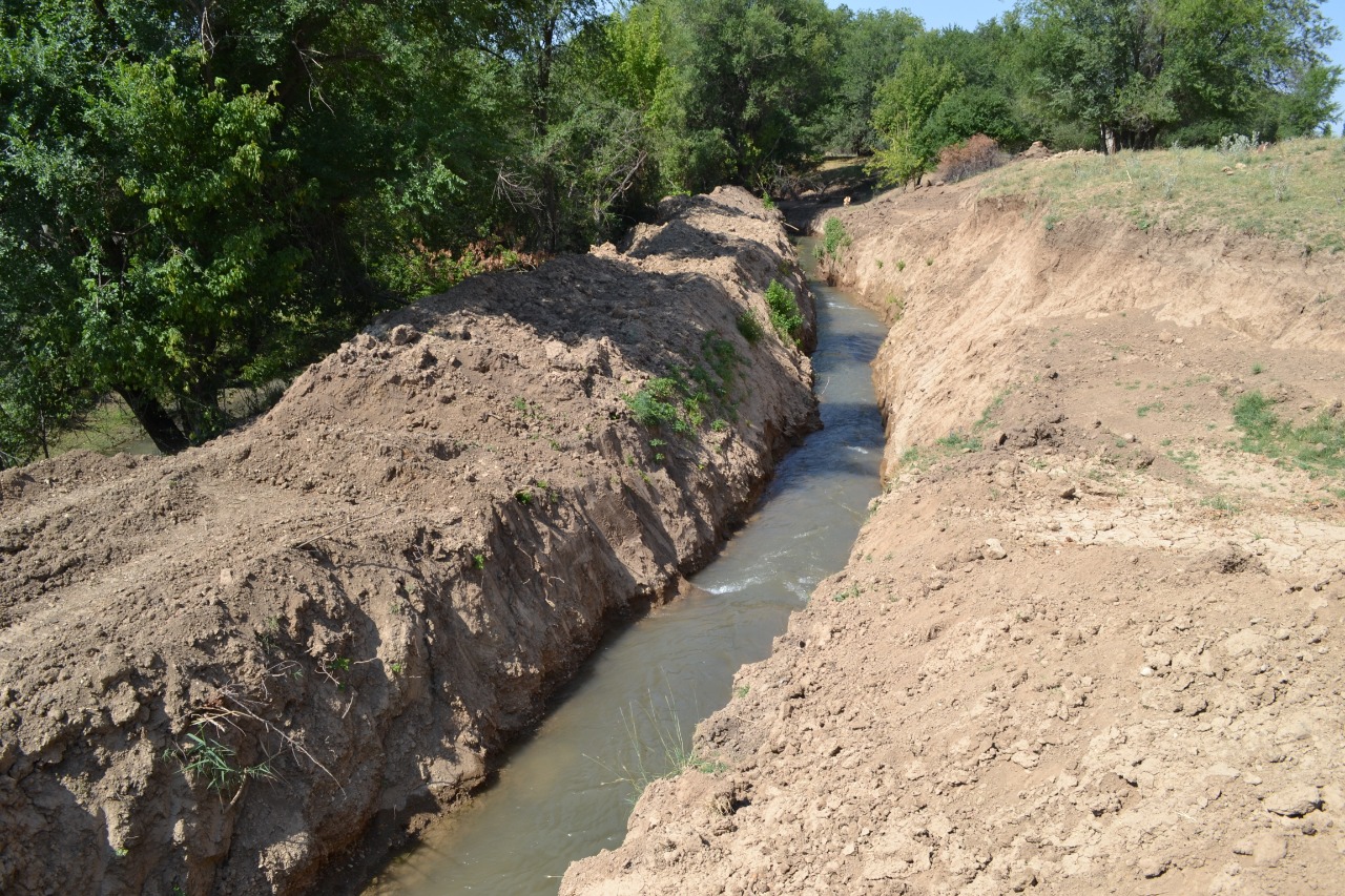 Түркістан: Арық-атыз тазаланып, ауыл тұрғындарының қуанышында шек жоқ