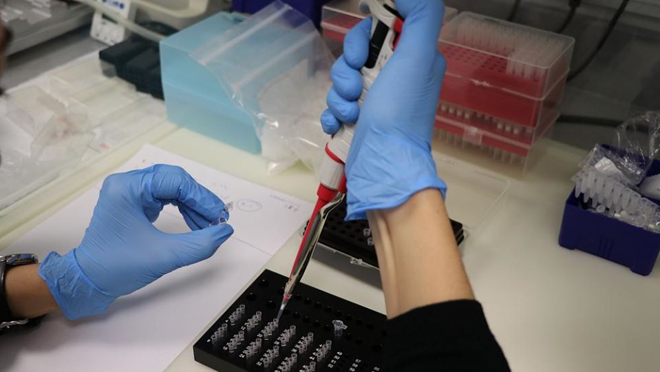 Қызылорда: Бүгін тағы 2 науқас жазылып шықты