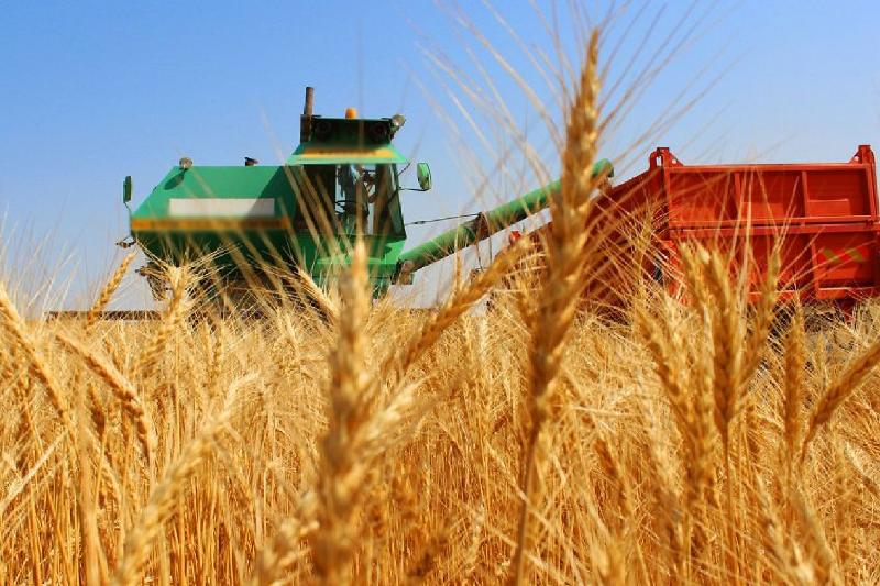 Көктемгі егістің қамымен