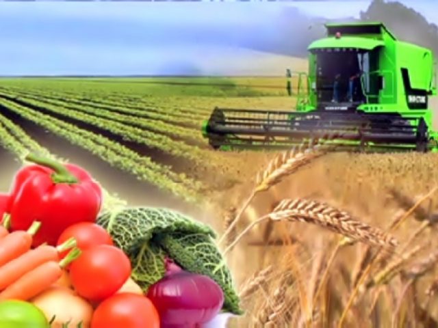 Маңғыстауда құны 122 млн теңгені құрайтын 61 агроөнеркәсіп субъектісі қолдау тапты