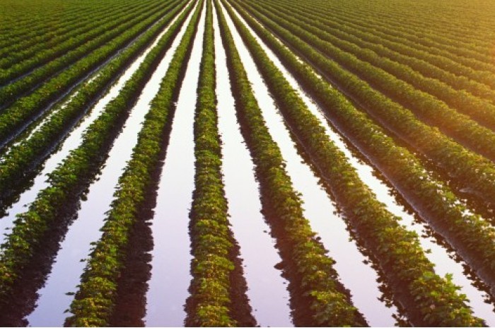 Қазақстанда суармалы жерлер қайта қалпына келтіріледі