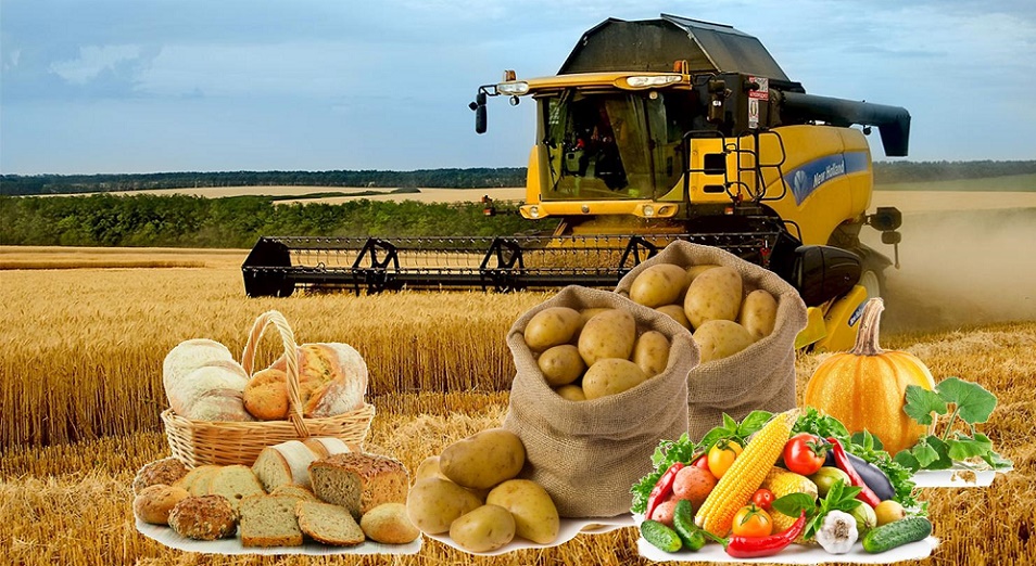 Ауыл шаруашылығы техникасын бастапқы жарнасыз 6 пайызбен алуға болады