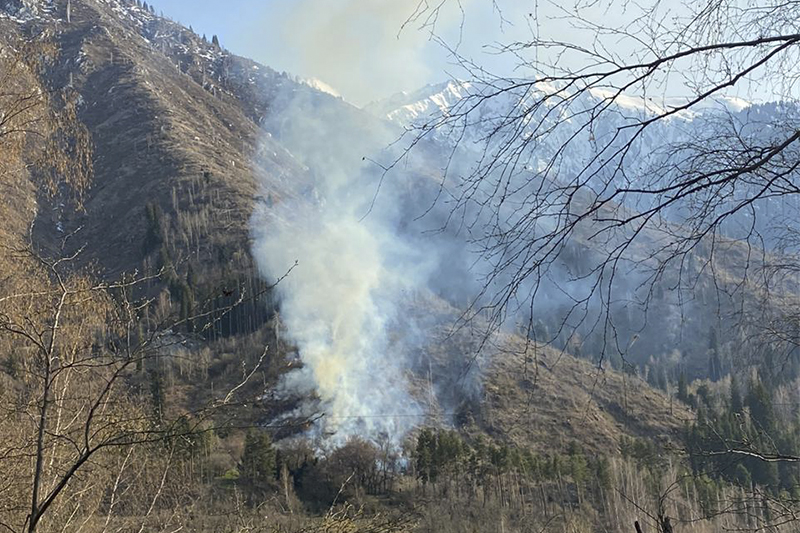Алматының Мохнатка тауындағы өрт сөндірілді