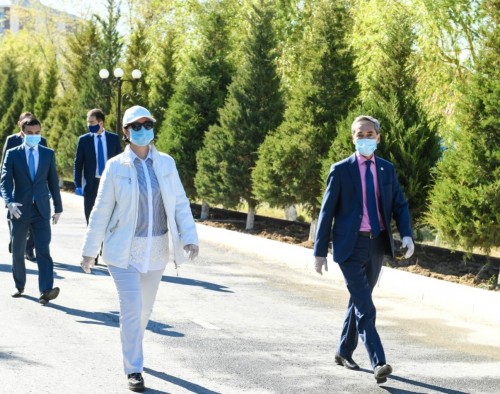 Қызылорда облысының әкімі эпидемиологиялық ахуалы ауыр аудандарда болды