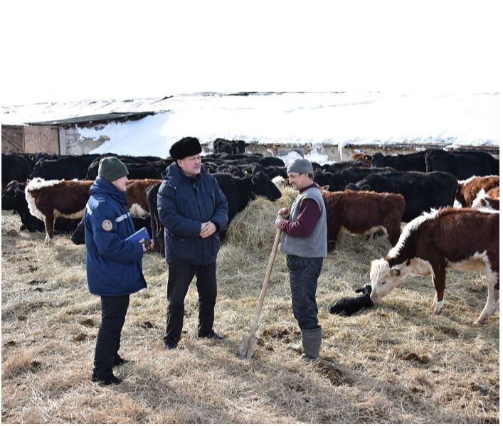 Түлетсем деп туған елдің төскейін...