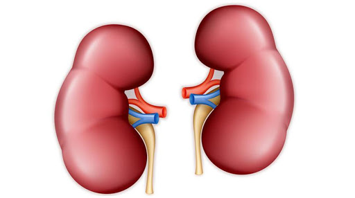 Бүйрегіңізді күтіңіз