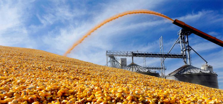 Ресей астық экспортына шектеу қойды