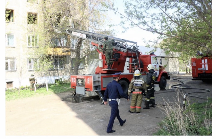 Тілсіз жау күтпеген жерден келді