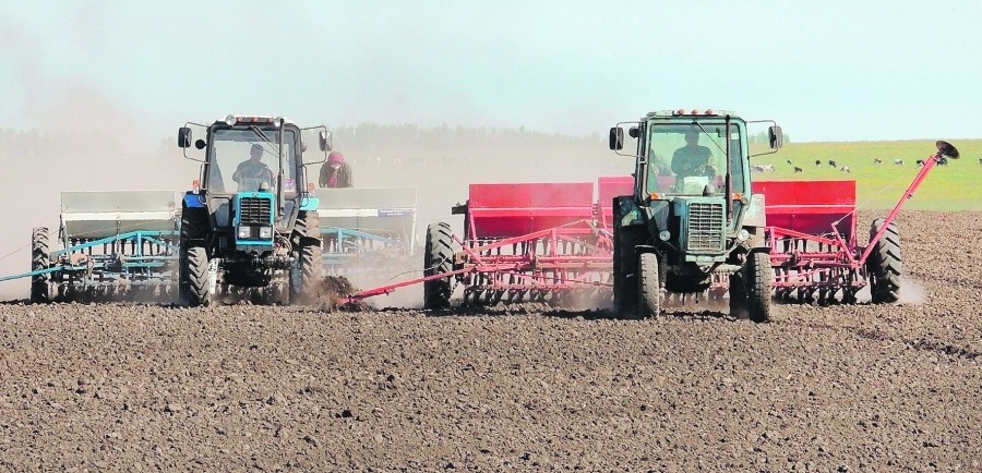 Түркістан: «Кең дала» бағдарламасы бойынша 950 млн теңге қаржы бөлінген