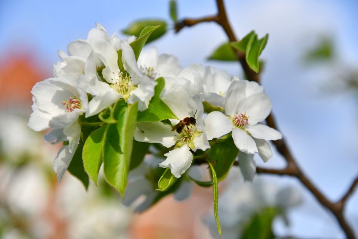 Көркем мінез