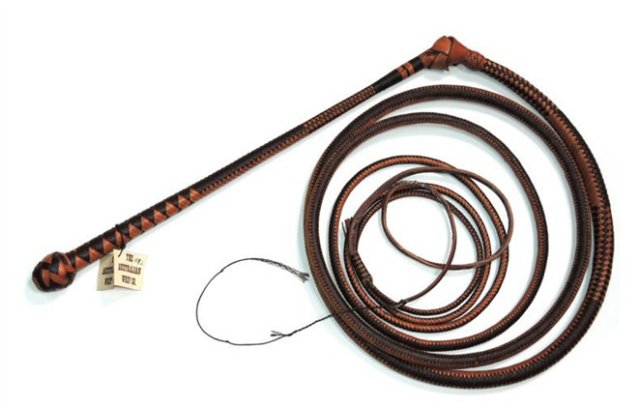 Құлды қорқытқан қамшы