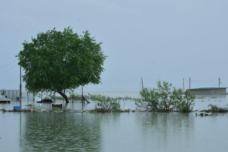 Түркістан: Мақтаарал ауданында су басқан 4 ауылда 620 үй бүлінді