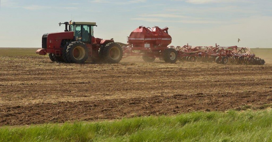 Даладағы дүбір