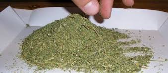 Қызылорда: Есірткі сақтаған 14 азамат анықталды