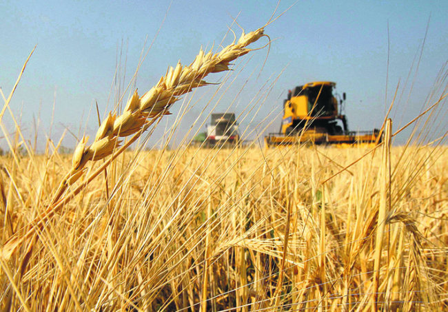 Ақмолада ылғал жабу аяқталды