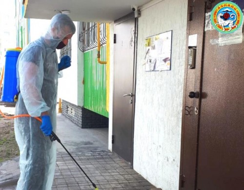 Алматыдағы көп қабатты үйлерді залалсыздандыру жалғасады