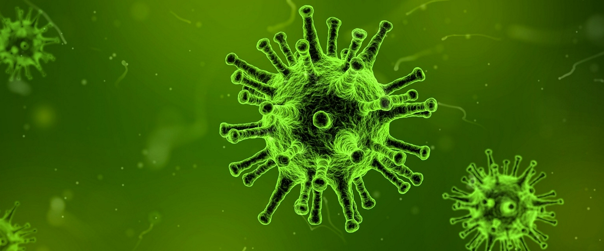 Әлем елдері қалыпты тіршілігіне орала бастады