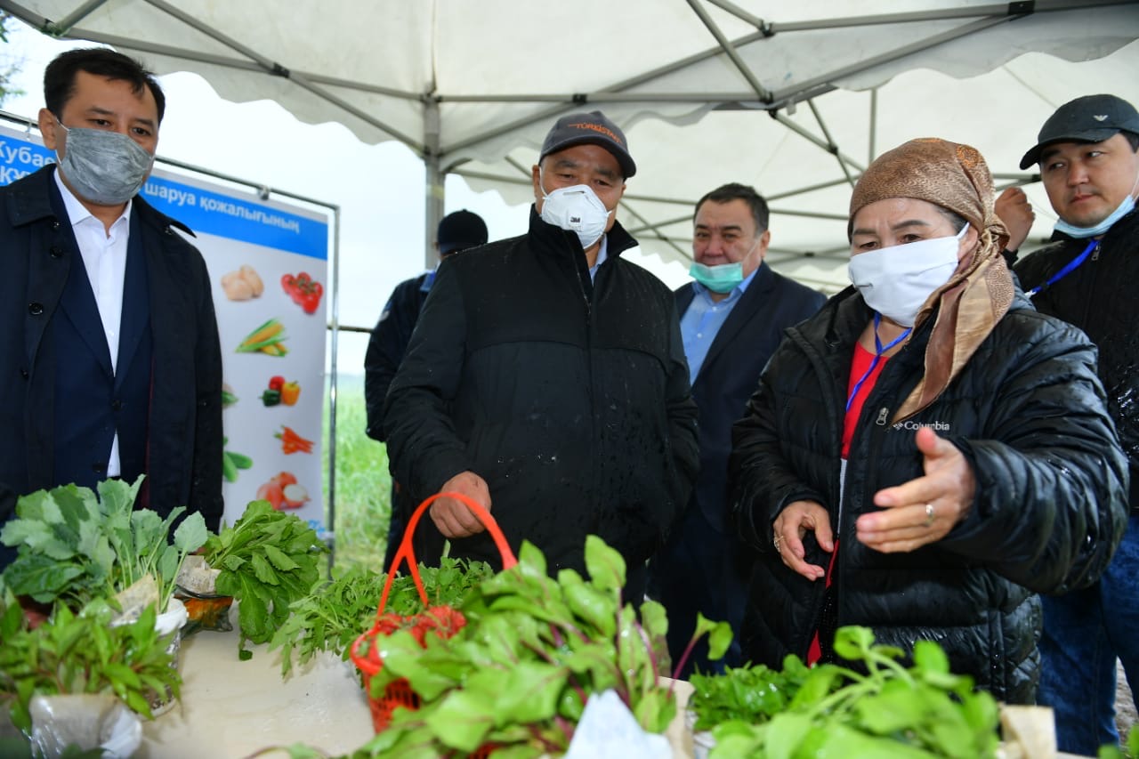 Төлеби ауданында бір алқаптан 2-3 өнім алу бойынша 105 жоба іске асырылуда