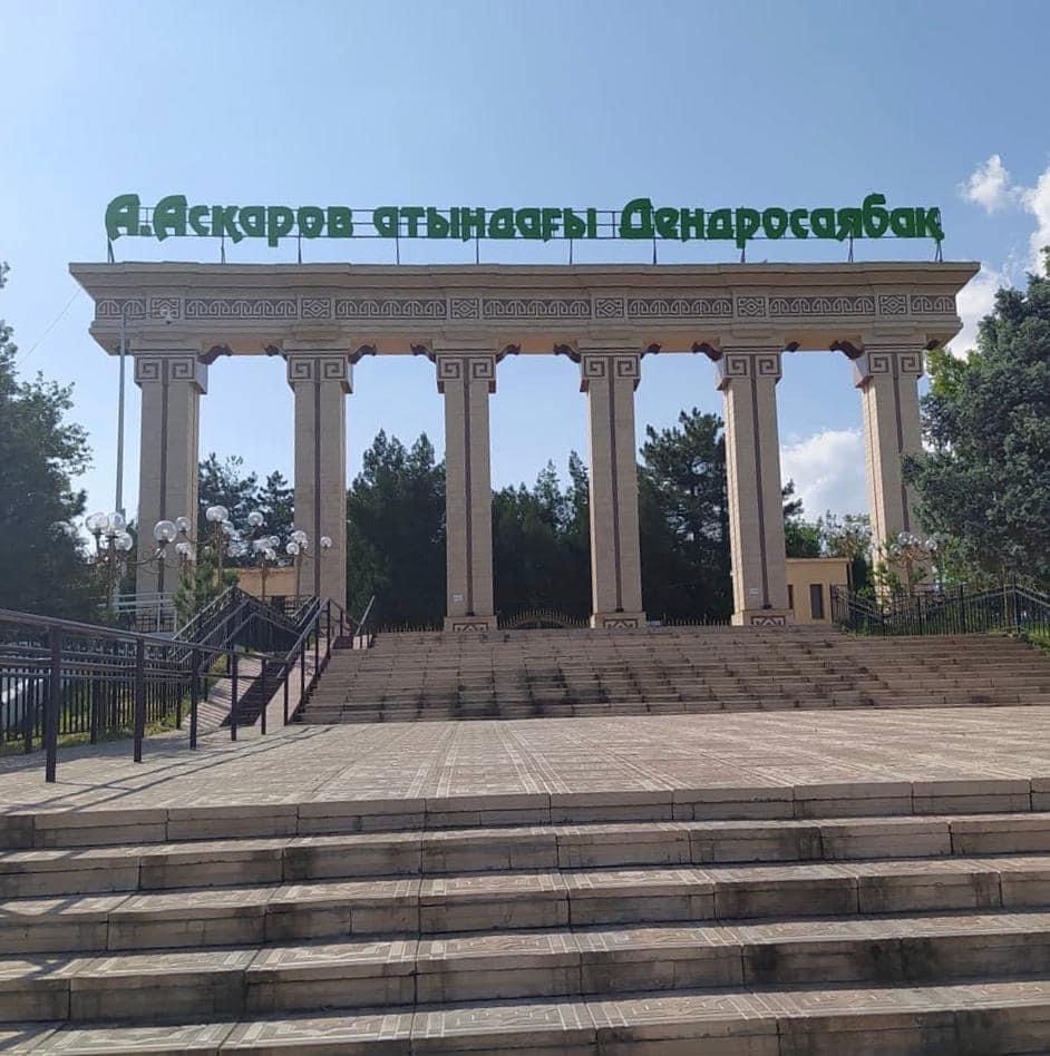 Шымкентте дендросаябақ басшылығы бюджет қаржысын жымқырған