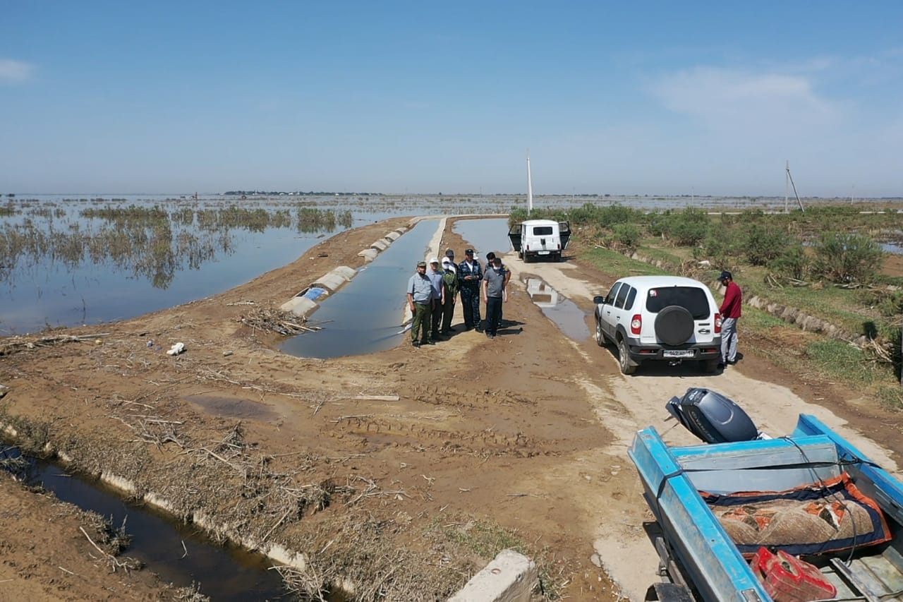 Түркістан: Сарқынды судан балық аулауға тыйым салынды