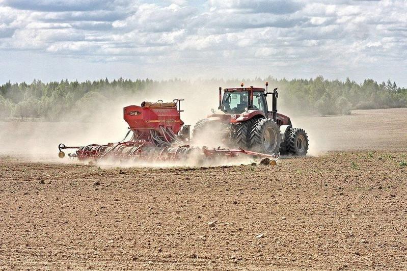 Ақмолалық диқандар егістік алқапта