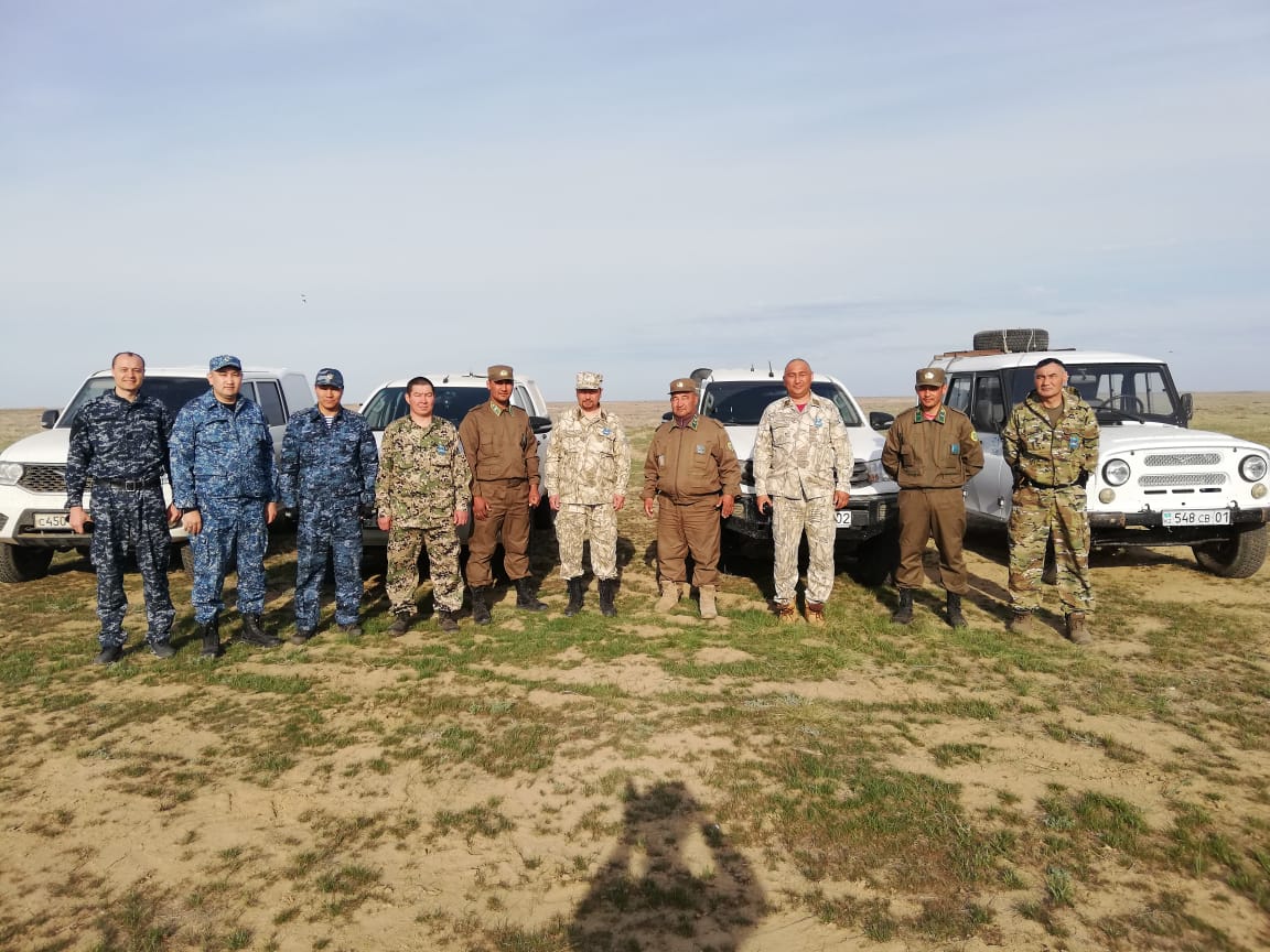 Қостанай облысында ақбөкен төлдейтін аумақтарға рейд шаралары жүріп жатыр