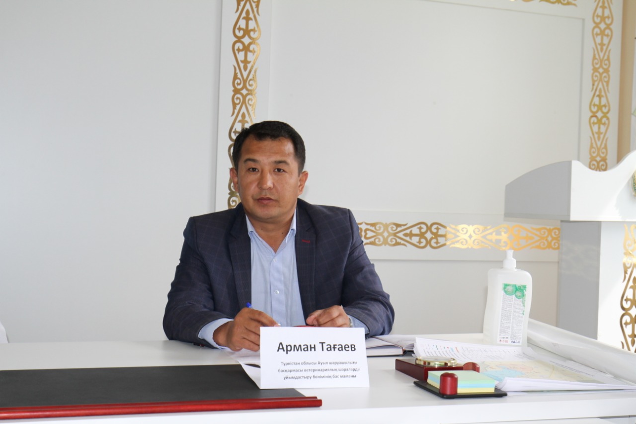 Мақтаарал: Мал өлекселерінің көпшілігі Өзбекстаннан ағып келгені анықталды