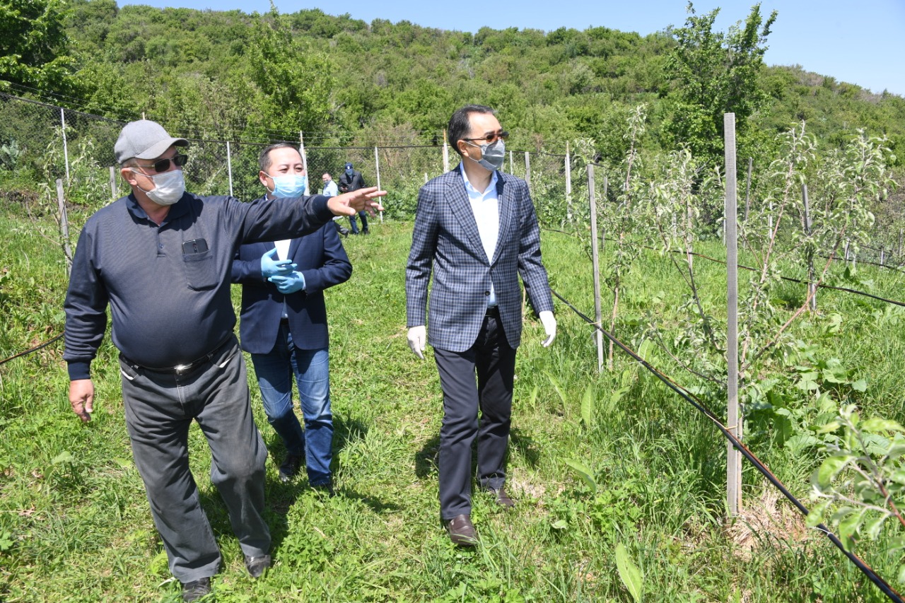 Алматыда бизнеске көрсетілген қолдау алғашқы нәтижесін бере бастады