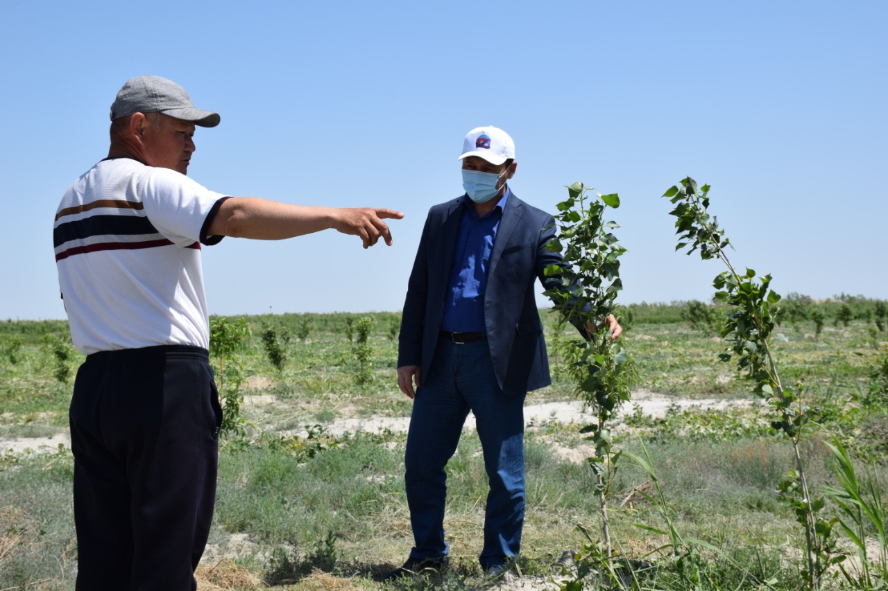 Қызылорда облысы: Ақбай ауылындағылар алма өсіреді