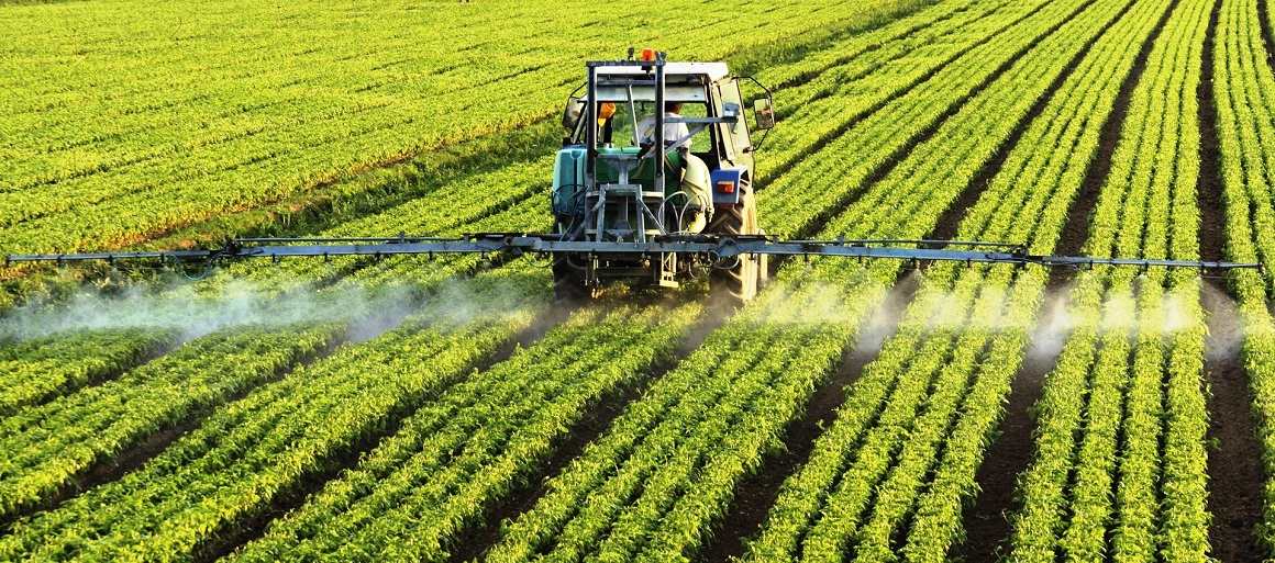 Ақмола облысы мамандары агроғылым мәселелерін талқылады